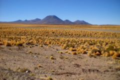 Chile_0020