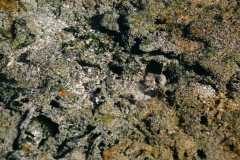 E47T2578