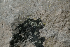E47T2689