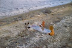 Chile_0044