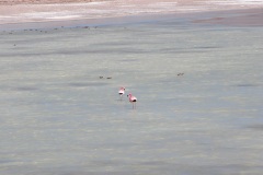 DSCN0220