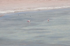 DSCN0221