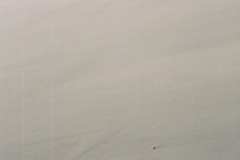7414000-R1-019-8