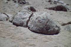 Chile_0051