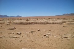Chile_0053