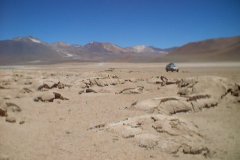Chile_0056
