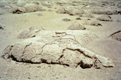 PA13441379208
