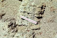 PA13441379215