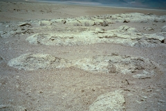 PA13441379216