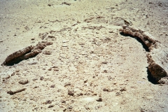 PA13441379223
