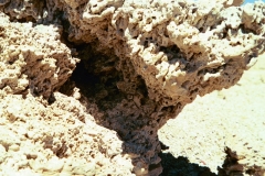 PA13441379225
