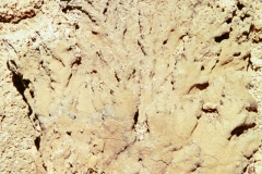 PA13441379265