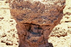 PA13441379274