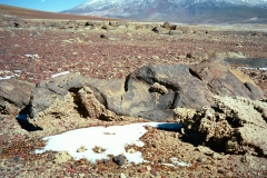 PA13441379468