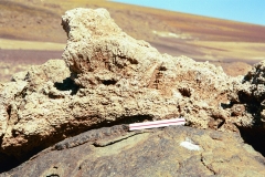 PA13441379469