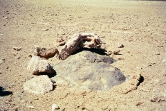 PA13441379472
