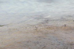 DSCN0224