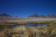 055_-_dali_oasis