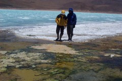 081