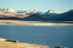 PA13441379460