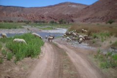Chile_0095