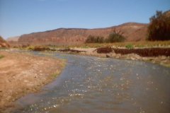 Chile_0097