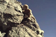 Lassen_5