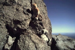 Lassen_6