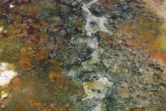 078_-_lv_spring