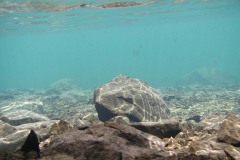 127_-_underwater3