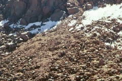 PA13441379419