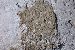 DSCN5374