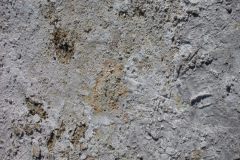 DSCN5377