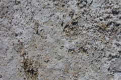 DSCN5378