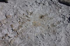 DSCN5380