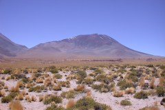 DSCN5204