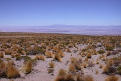 DSCN5207