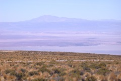 DSCN5208