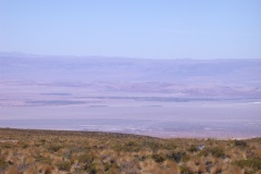 DSCN5209