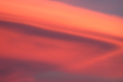 DSCN5266