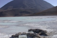 DSCN5385