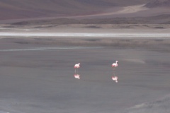 DSCN5273