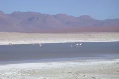 DSCN5355