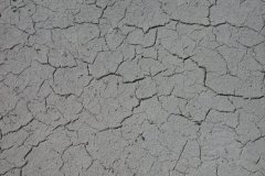 DSCN5278