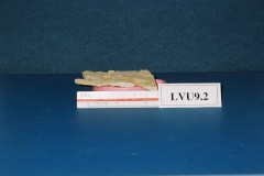 6364650-R1-016-6A