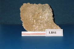 6364650-R1-024-10A