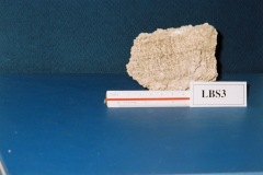6364650-R1-030-13A