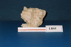6364650-R1-036-16A