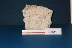 6364650-R1-046-21A