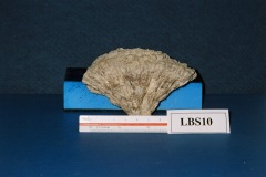 6364650-R1-048-22A